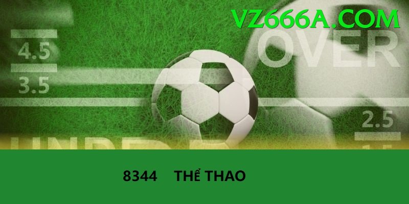 Cá Cược Thể Thao - vz666